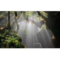 光的干涉、衍射、折射、反射、散射